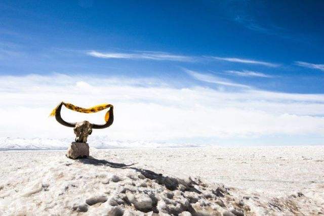 那不勒斯训练开放日，清晨手感冰凉引欢呼，欧篮联在即，年轻球员得到机会的简单介绍-满冠中国官网